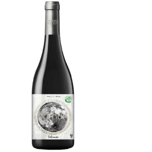 NUMUN Selección - Roble