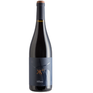 ALCONDE - GRACIANO X01