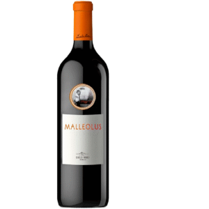 MALLEOLUS