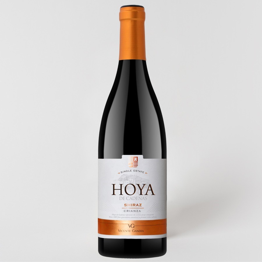 HOYA DE CADENAS - SHIRAZ