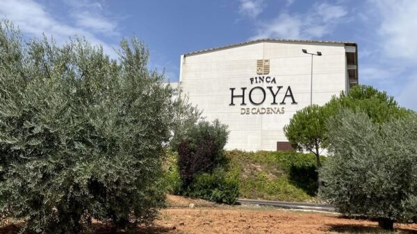 Bodega FINCA HOYA DE CADENAS (Utiel-Valencia)