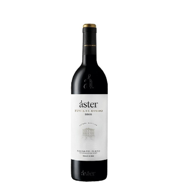 Áster Finca El Otero - 2016