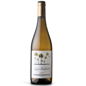Luna Beberide - Godello