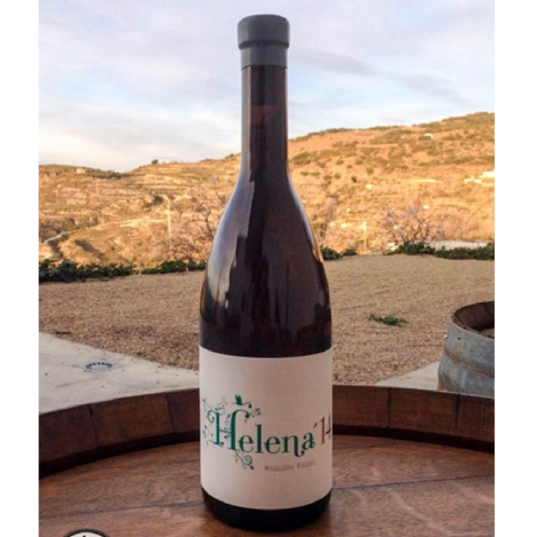 Vino Helena Blanco