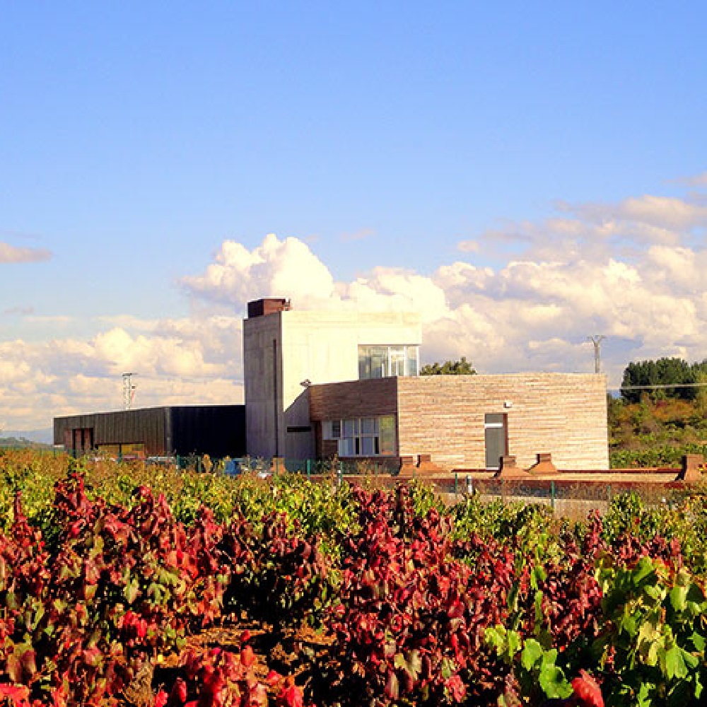 Bodegas LOSADA VINOS DE FINCA (Pieros-El Bierzo, León)
